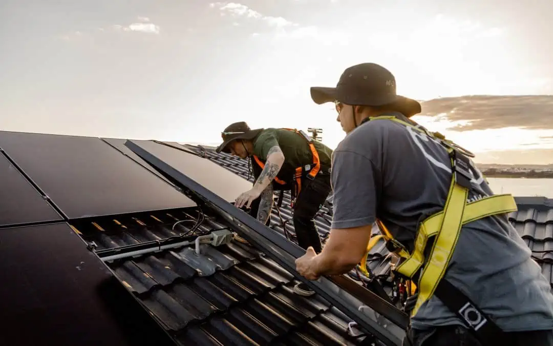 How Many Solar Panels Do You Need to Run a House in NZ?